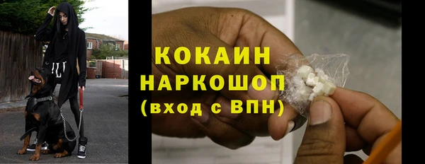 бошки Белокуриха