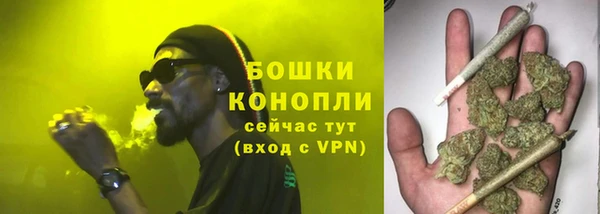 бошки Белокуриха