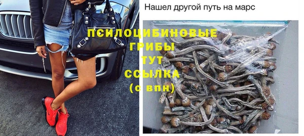 ПСИЛОЦИБИНОВЫЕ ГРИБЫ Богородицк