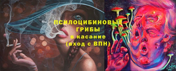 бошки Белокуриха