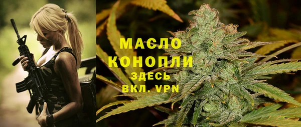 индика Богородск