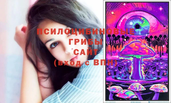 бошки Белокуриха
