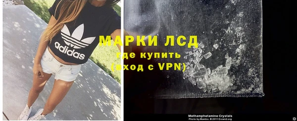 индика Богородск