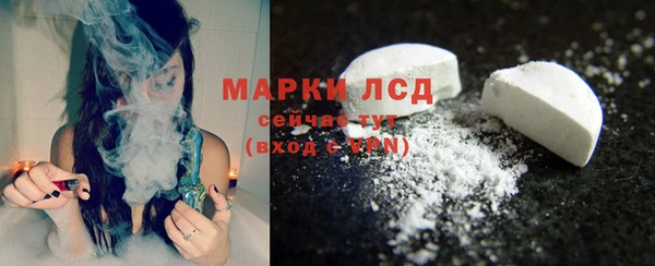 бошки Белокуриха